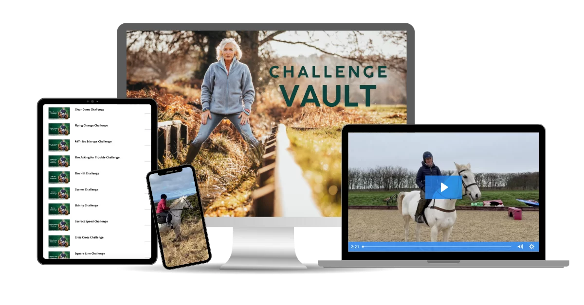 challenge vault content